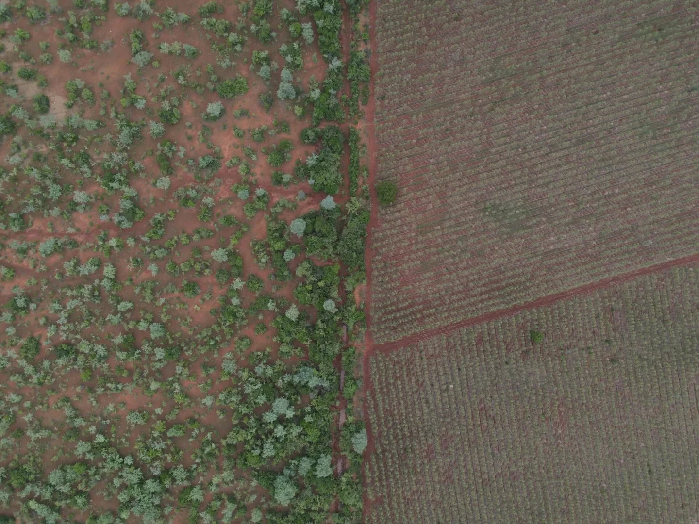 landing-background