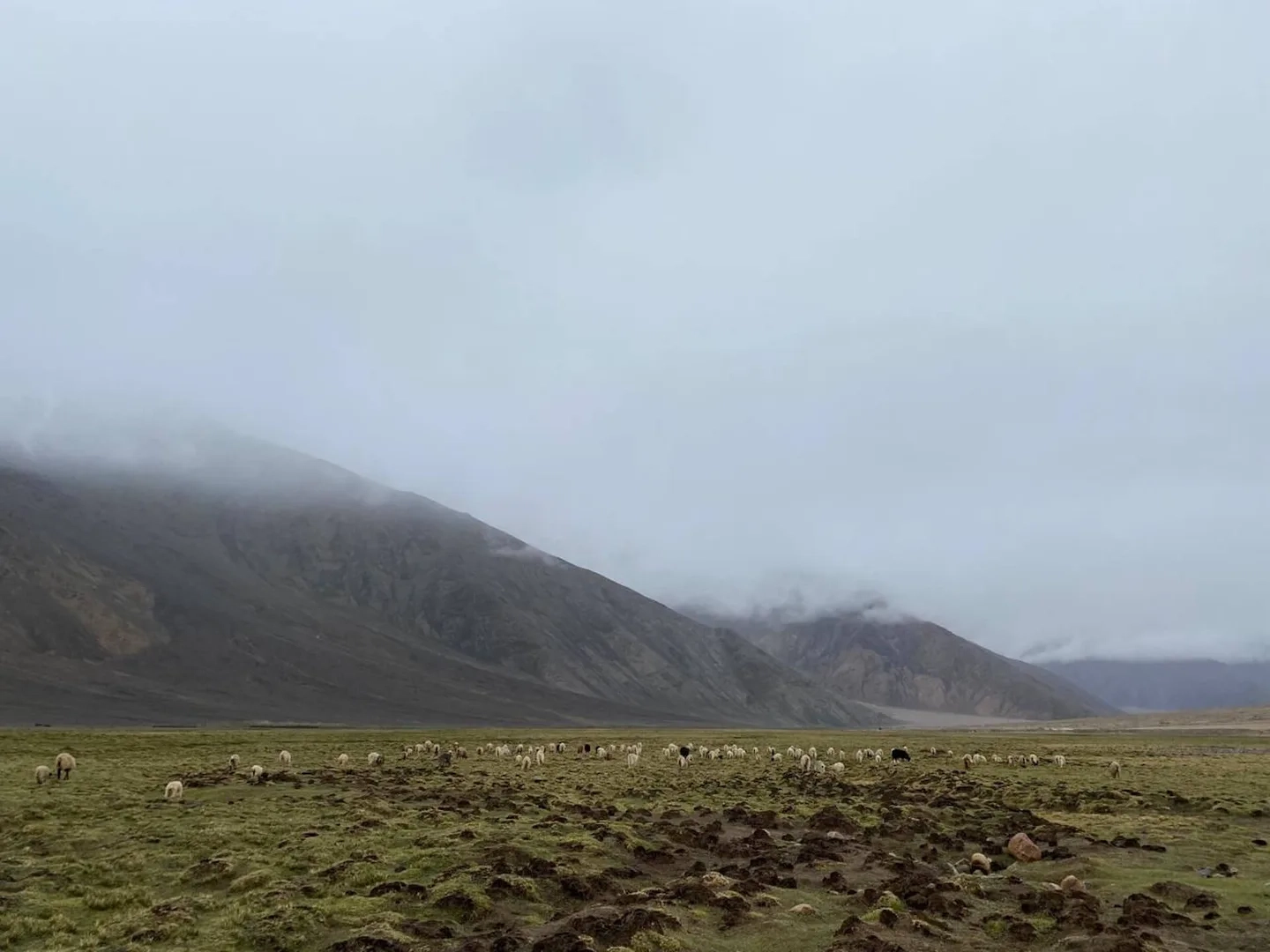 landing-background