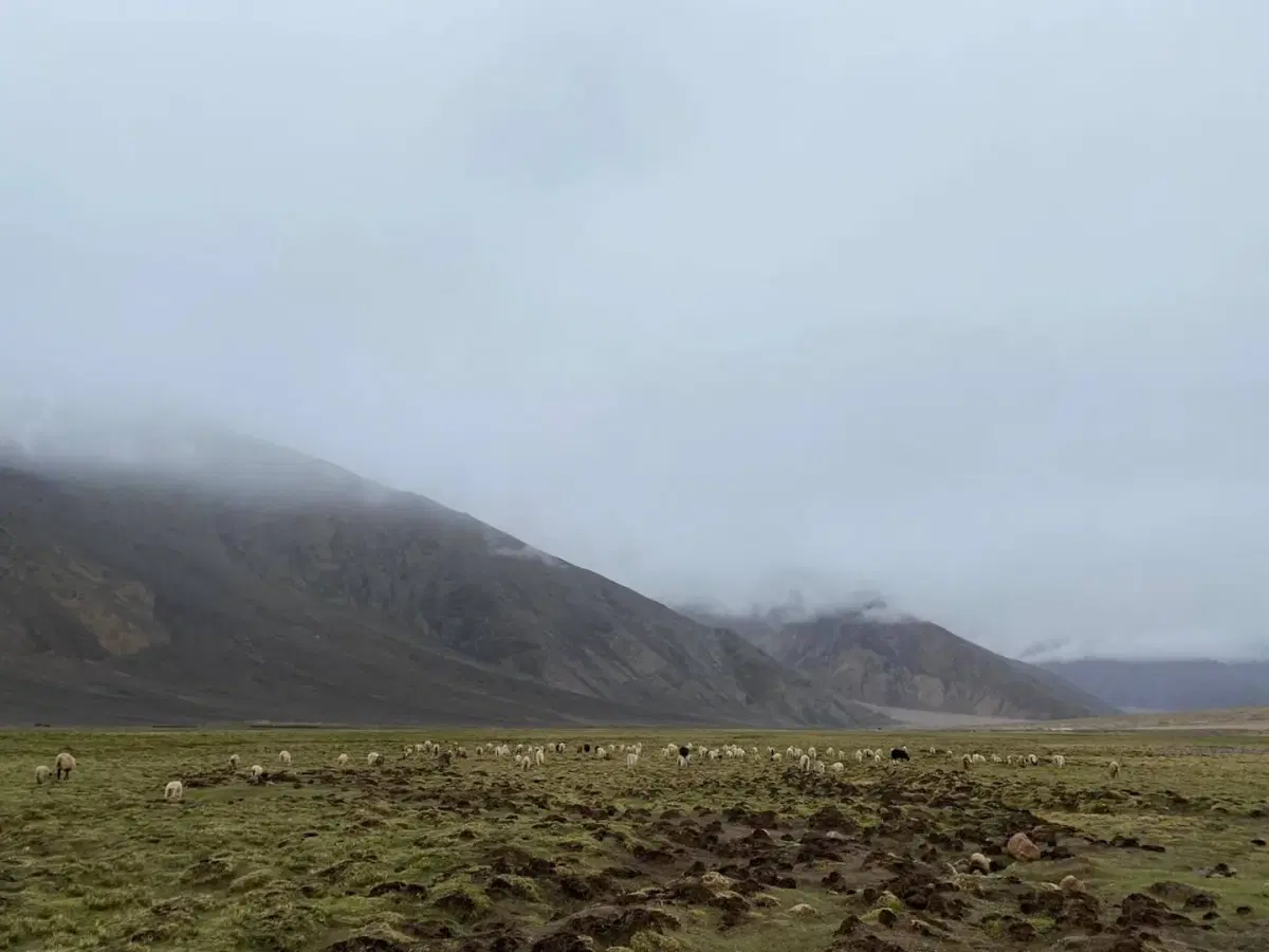 Mapping Climate Vulnerability and Resilience Across Landscapes