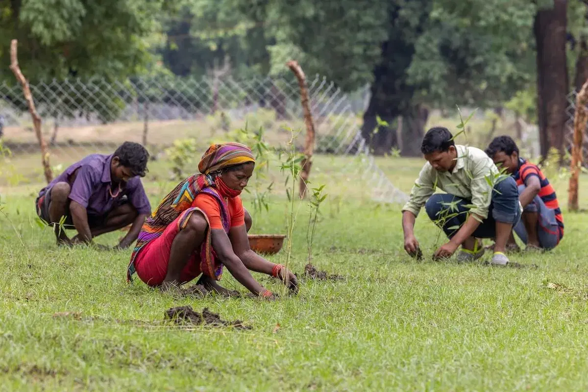 Sustainable livelihood for the tribal community in Kanha's buffer zone