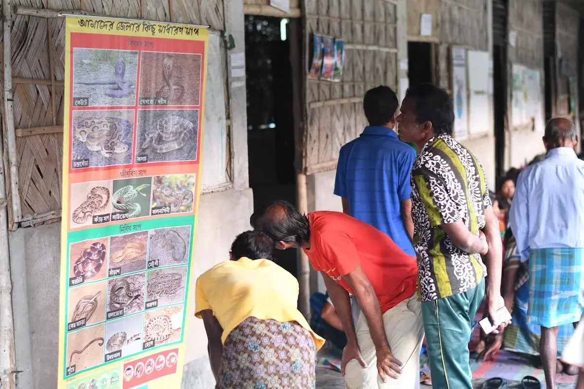 Integrating community health and snake conservation in the Sundarbans